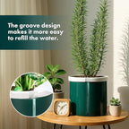 D'vine Dev 8 Inch Design Self Watering Planter - Image 4