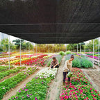 Shade Cloth for Plants Greenhouse, 80-90% Sunblock Shade Sails for Outdoor - Image 3
