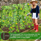 Cucumber Trellis for Raised Bed, U-Shape Garden Trellis for Climbing Plants - Image 9