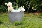 Kante 14 Inch Dia Round Concrete Planter, Indoor Outdoor Large Plant Pot - Image 5