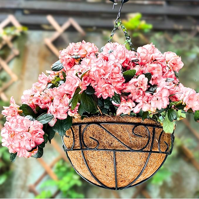 LaLaGreen Hanging Planter for Outdoor Plants Hanging Baskets by L%C3%A1L%C3%A1Green