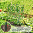 Cucumber Trellis for Raised Bed, U-Shape Garden Trellis for Climbing Plants - Image 5