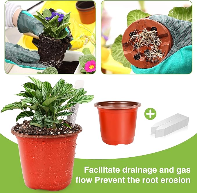 Plant Nursery Pot/Pots 200 Pcs 6" Plastic Plants Pots Flower Pots Seed Starting - Image 4