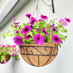 LaLaGreen Hanging Planter for Outdoor Plants Black Hanging Baskets by L%C3%A1L%C3%A1Green