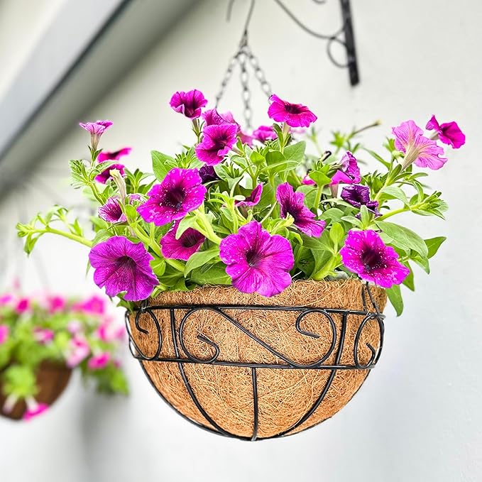 LaLaGreen Hanging Baskets for Plant Outdoor Large Black Metal Wire Hanging by L%C3%A1L%C3%A1Green