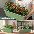 Window Box Planter, 12 Pack Plastic Vegetable Flower Planters Boxes 17 Inches - Image 6