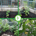 Trellis Netting for Climbing Plants - Image 4