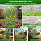Cucumber Trellis for Raised Bed 48" L x 64" H, 16mm Heavy-Duty Metal A-Shape - Image 5
