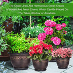 Plastic-Plant-Flower-Planters-8 Inch - Image 7