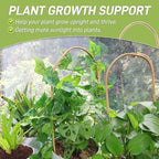 Avalution 16" Natural Bamboo Plants Trellis U-Hoop, Bamboo Gaeden Trellis - Image 3
