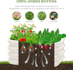 2-Pack 2x1ft Galvanized Raised Garden Bed, Outdoor Planter Bed, Metal Planter - Image 4