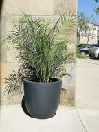 Kante 18 Inch Dia Round Concrete Planter, Indoor Outdoor Large Plant Pot - Image 11
