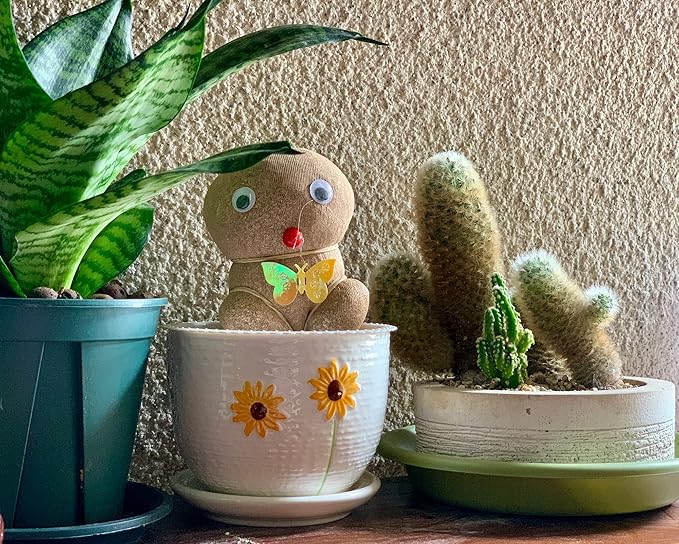 Ton Sin Plant Pots, 4+5+6 inch Pots - Image 6