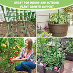 Legigo 6-Pack Tomato Cage for Garden Plant Support- Up to 48inch Garden Stakes - Image 7