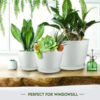 Utopia Home Plant Pots Indoor - Image 6
