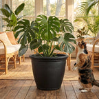 Sunnydaze 24-Inch Anjelica Large Plastic Pot - Image 9