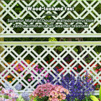 EasyUp Raised Garden Bed with Trellis - Image 5