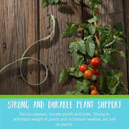 VELCRO Brand VEL-30071-USA ONE-WRAP Garden Ties | Plant Supports - Image 4