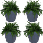 Sunnydaze 24-Inch Anjelica Large Plastic Pot by SunnydazeDecor