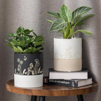 Nihow Self Watering Plant Pot: 6 Inch Ceramic Planter - Image 5
