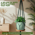 Utopia Home - Spotty Plant Pots Indoor - 7/6.6/6/5.3/4.8 Inches Flower Pots - - Image 7
