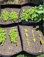CJGQ Fabric Raised Garden Bed 4x2x1ft Garden Grow Bed Bags - Image 7