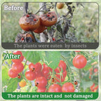 2 Pack Garden Netting for Raised Beds, 37.4" x 19.6" x 19.6" Garden Bed Insect - Image 4