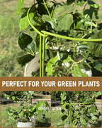 10-Pack Plant Support Stakes, Heavy Duty Steel Plant Stakes as Monstera Plant - Image 2