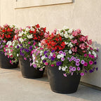 Sunnydaze 20-Inch Anjelica Large Plastic Pot - Image 9