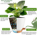 6 Inch Self Watering Pots for Indoor Plants – Small Plastic Planters - Image 5