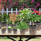 5 Set 7 Inch Transparent Plastic Garden Pots - Image 7