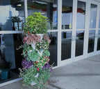 Mr. Stacky 5 Tiered Vertical Gardening Planter, Indoor & Outdoor - Image 7