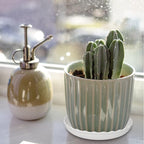 13 Pack Plant Saucer, 8 10 12 Inch Durable Plastic Plant Trays - Image 7